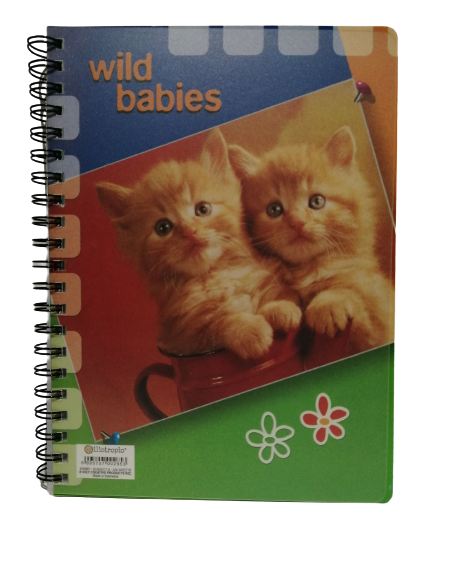 Τετράδιο 3 Θέματα Α4