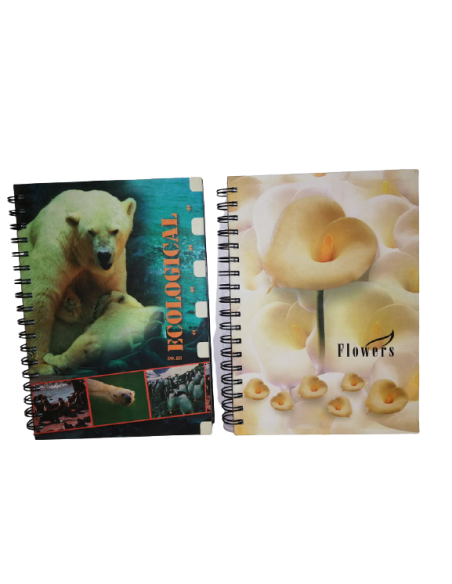 Τετράδιο 3 θέματα 17χ25