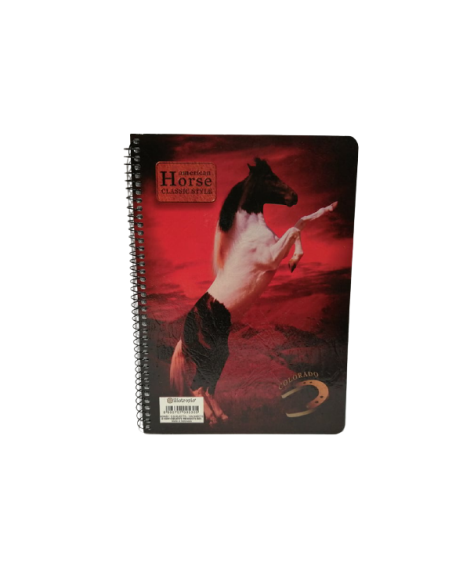 Τετράδιο 3 θέματα 17χ25