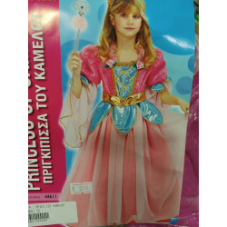 Παιδική Αποκριάτικη Στολή ΠΡΙΓΚΙΠΙΣΣΑ ΤΟΥ ΚΑΜΕΛΟΤ 12 ΕΤΩΝ