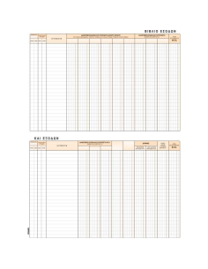 ΒΙΒΛΙΟ ΕΣΟΔΩΝ ΕΞΟΔΩΝ 25Χ35 100φ.